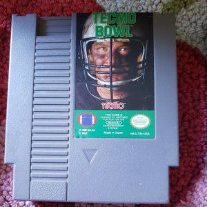 NES Nintendo Techmo Bowl Game